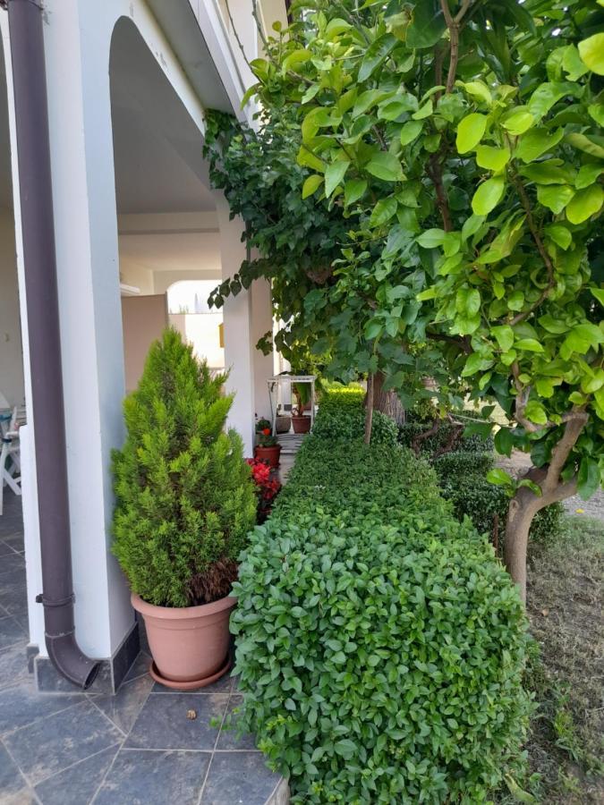 Holiday S&M Lopar Bagian luar foto